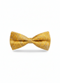 The "Golden Hour" Silk Bow Tie